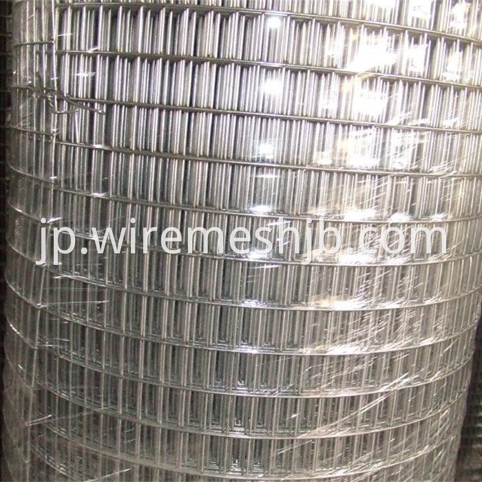 Hot Dipped Galvanized Welded Mesh